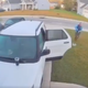 Image for article titled Man Saves Wife From Bobcat in Viral Video, Becomes Legend in 2 Games Like Pee Wee Kirkland